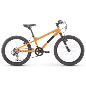 16" Limited Lifetime Warranty on The Frame Kids Bike